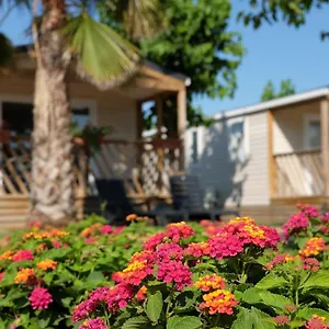 https://camping-el-pinar.catalonia-hotels.com